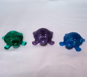 Schildkröte